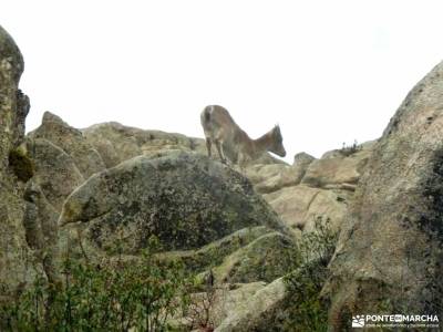 Sierra Porrones-Senda de las Cabras;rutas sierra de cazorla agencias de viajes en madrid batalla de 